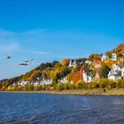 Süllberg im Herbst