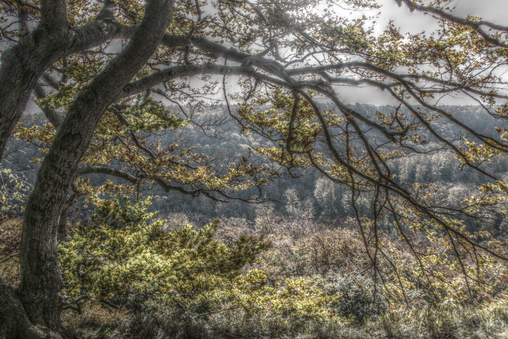 Süntel HDR