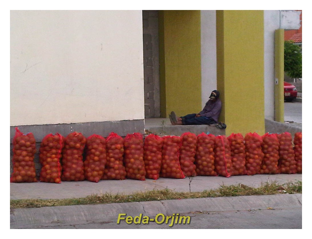 Sueño y venta de naranjas