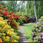 Süpplingenburg - Rhododendron-Park_01