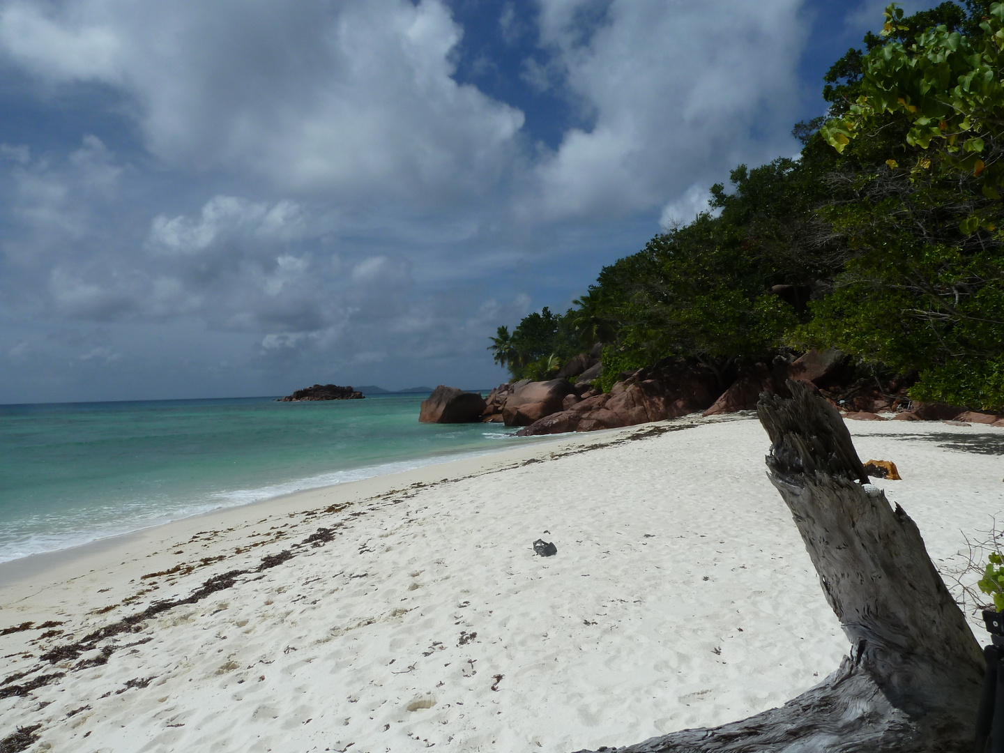 Süseestrand mit Palmen