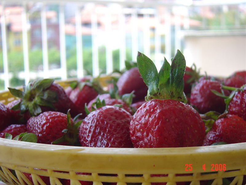 süß Erdbeere
