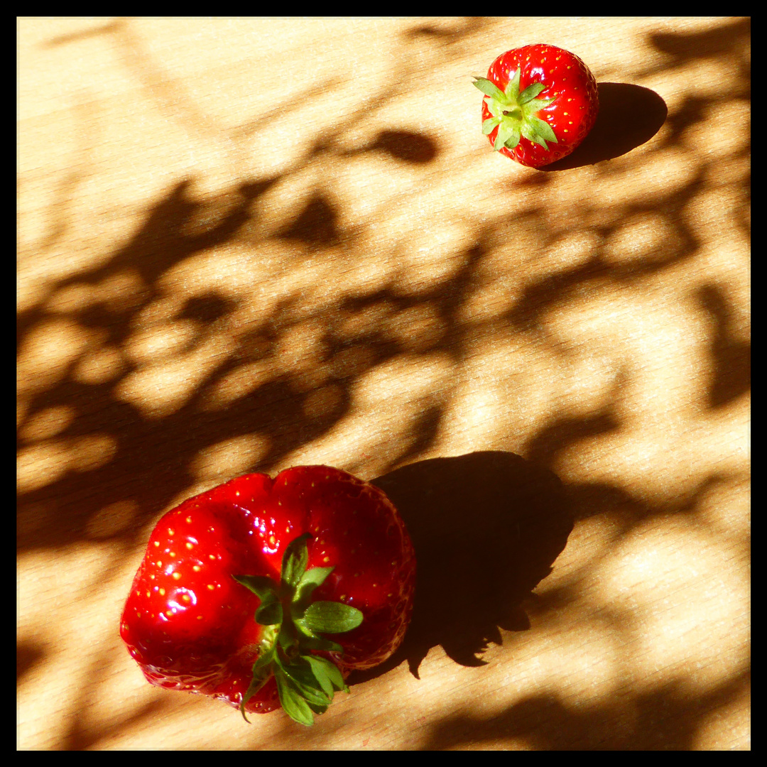 "Süße" Erdbeeren 