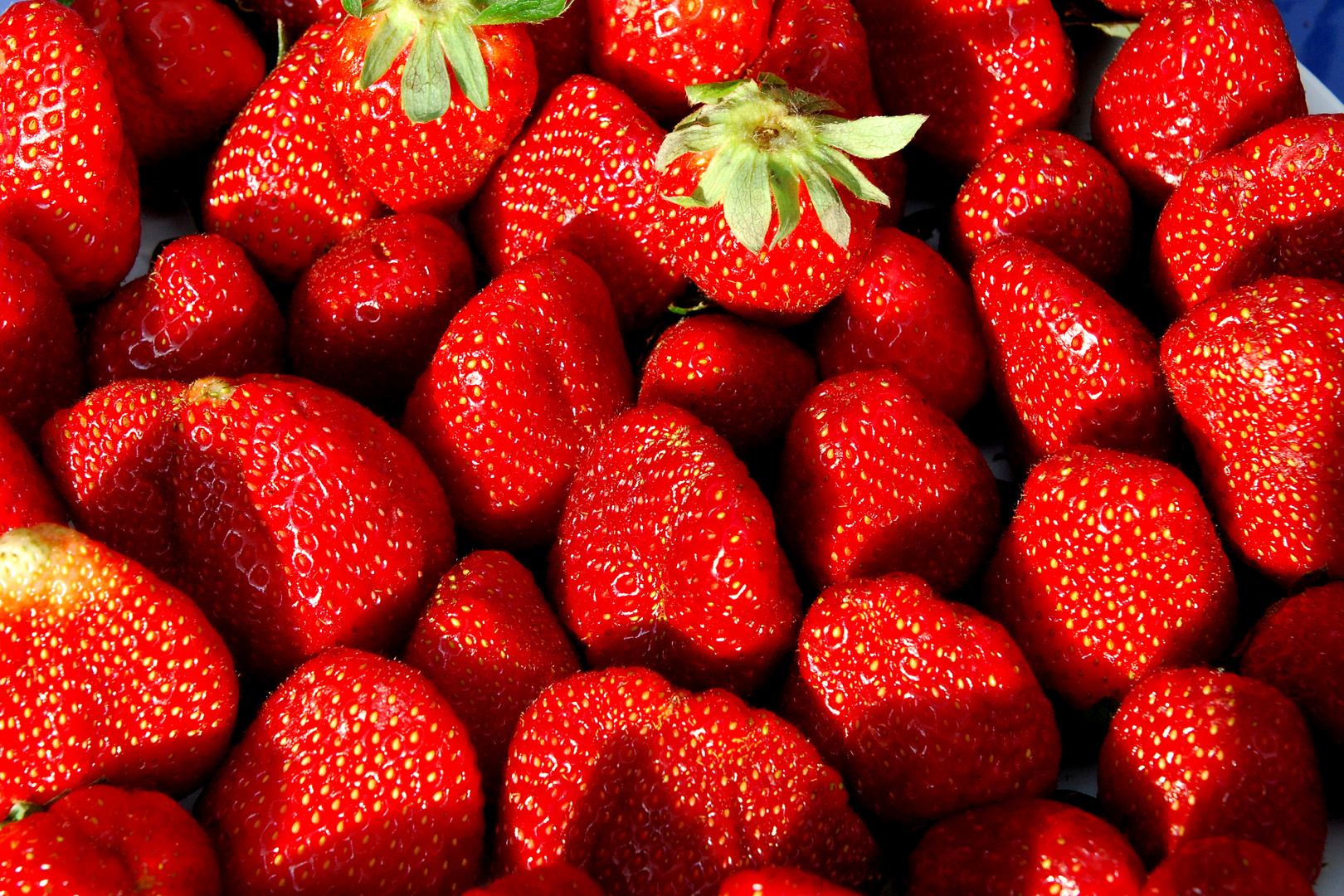 süße Früchtchen Foto & Bild früchte, obst, rot Bilder auf