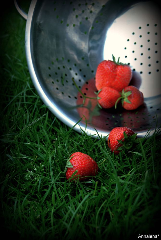 Süße Früchte! Foto & Bild stillleben, foodfotografie, obst & gemüse
