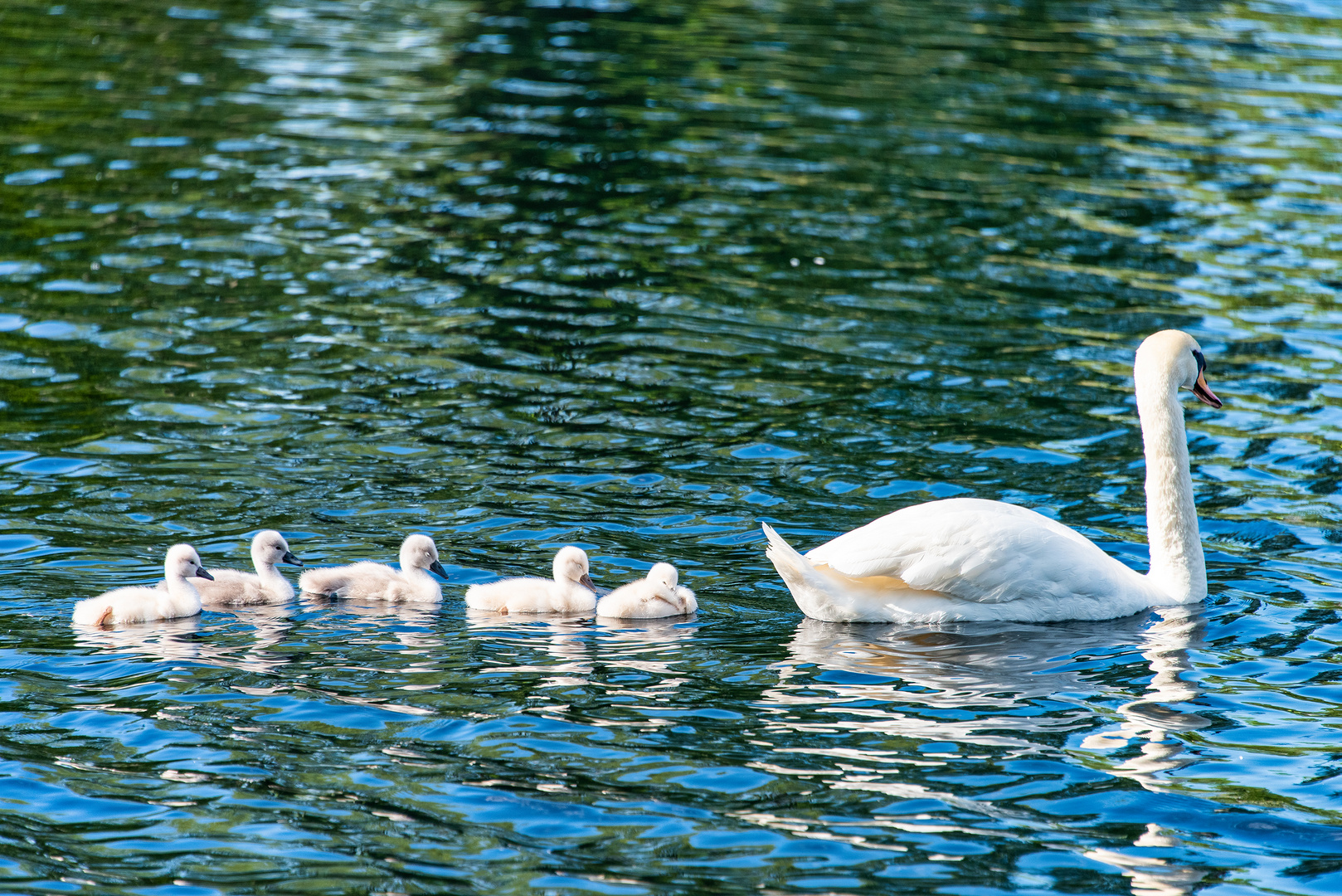 Süße kleine Familie