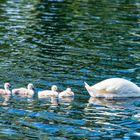 Süße kleine Familie