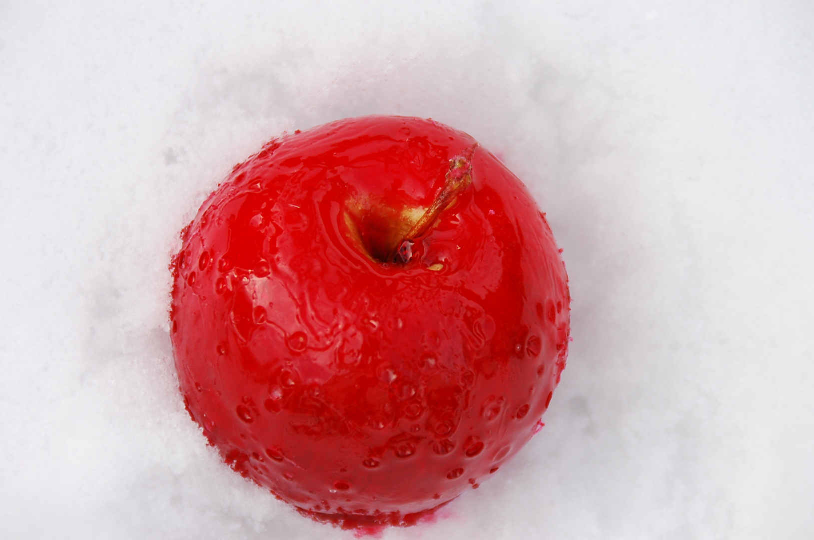 Süßer Apfel im Schnee