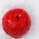 Süßer Apfel im Schnee