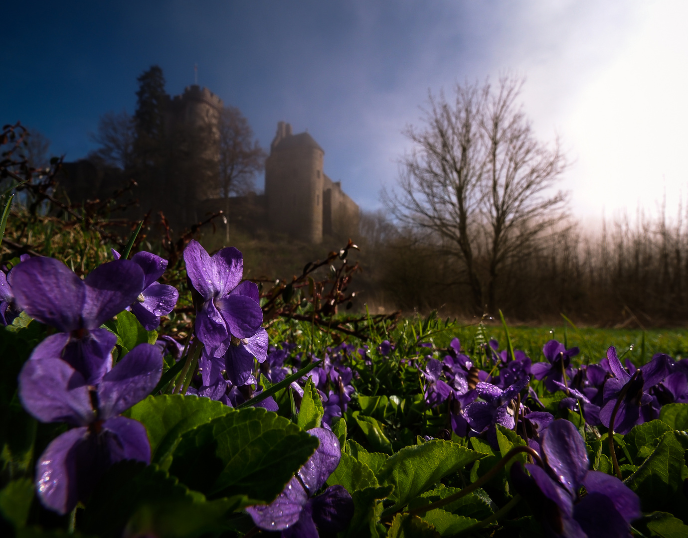 Süßer Frühling