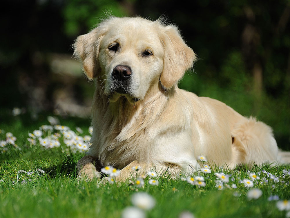 Süßgesicht + Blöömchen= Frühling!