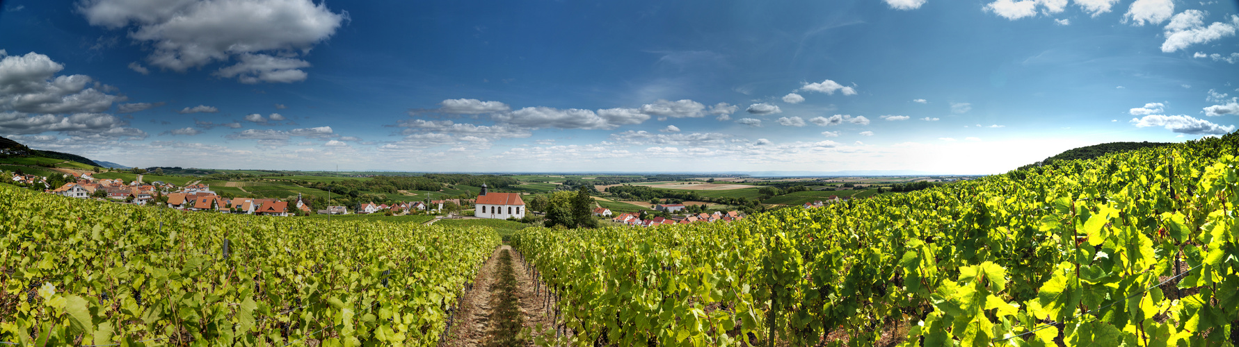 SÜW Gleiszellen Gleishorbach