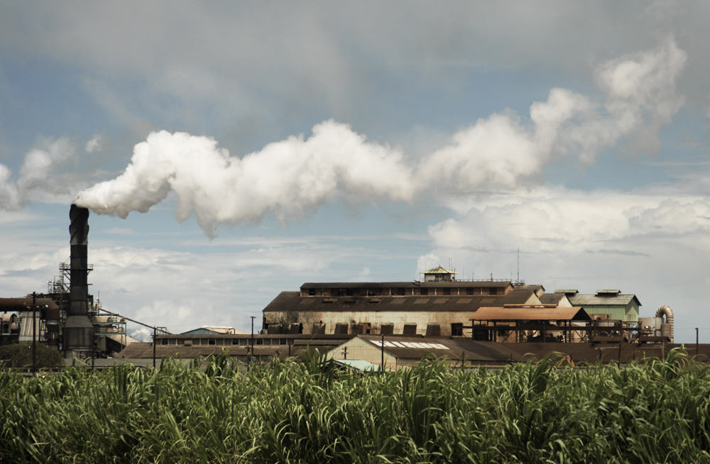 Sugar Cane factory