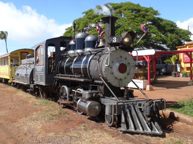 Sugar Cane Train