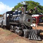 Sugar Cane Train