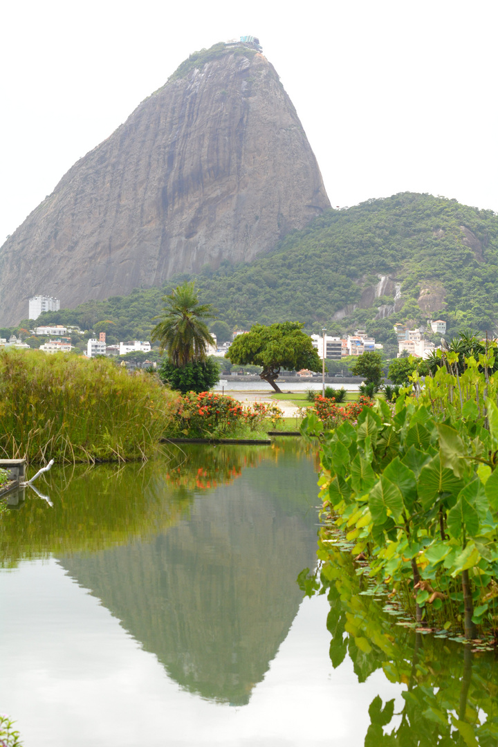 Sugar Loaf mountain after the long rain with reflection