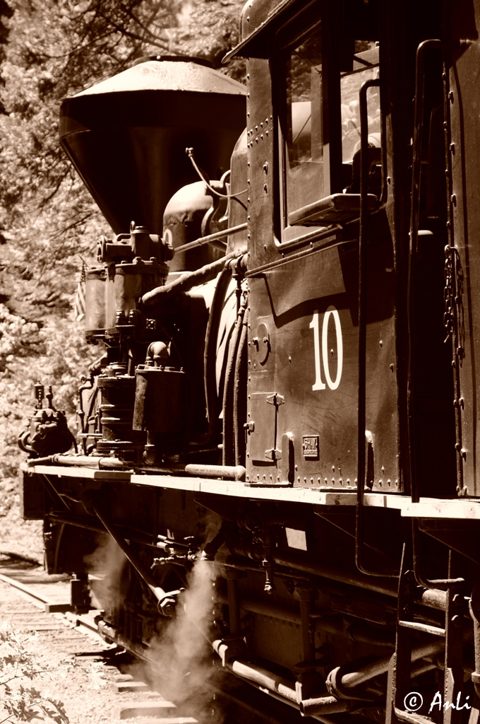 Sugar Pine Railroad