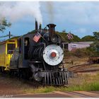 Sugartrain in Lahaina/Maui