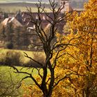 Sugenheim in Mittelfranken