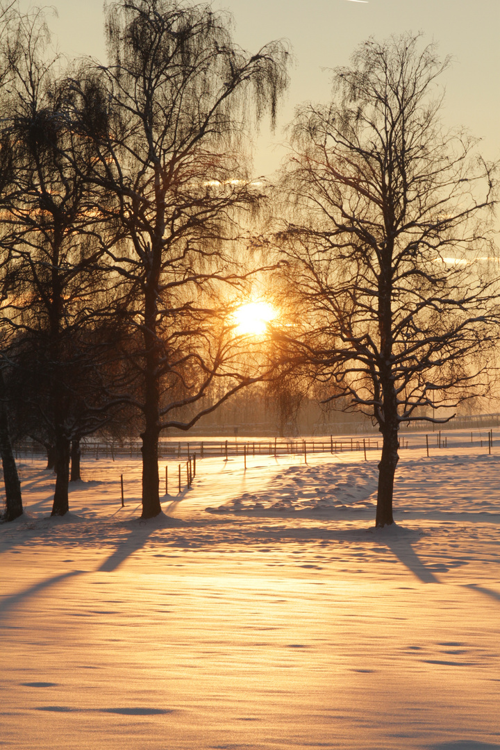 Suggestive Wärme im Dezember bei -12°C