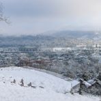 Suhrerkopf - Suhr Kt, AG Schweiz - Polbild 