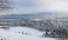 Suhrerkopf - Suhr Kt, AG Schweiz - Polbild 