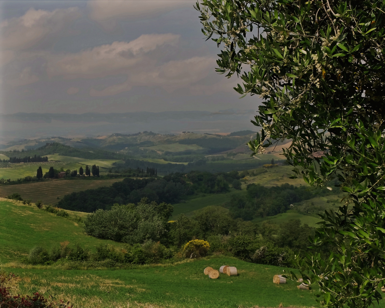 Sui colli senesi