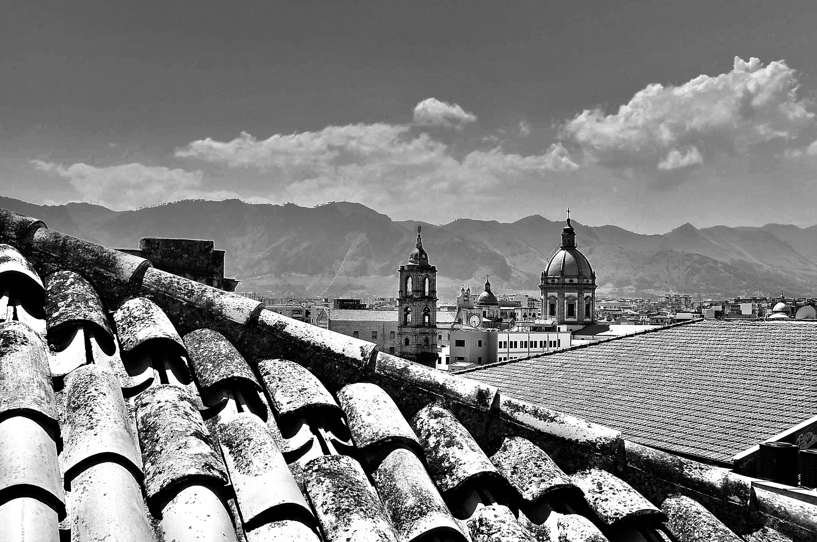 Sui tetti a Palermo 