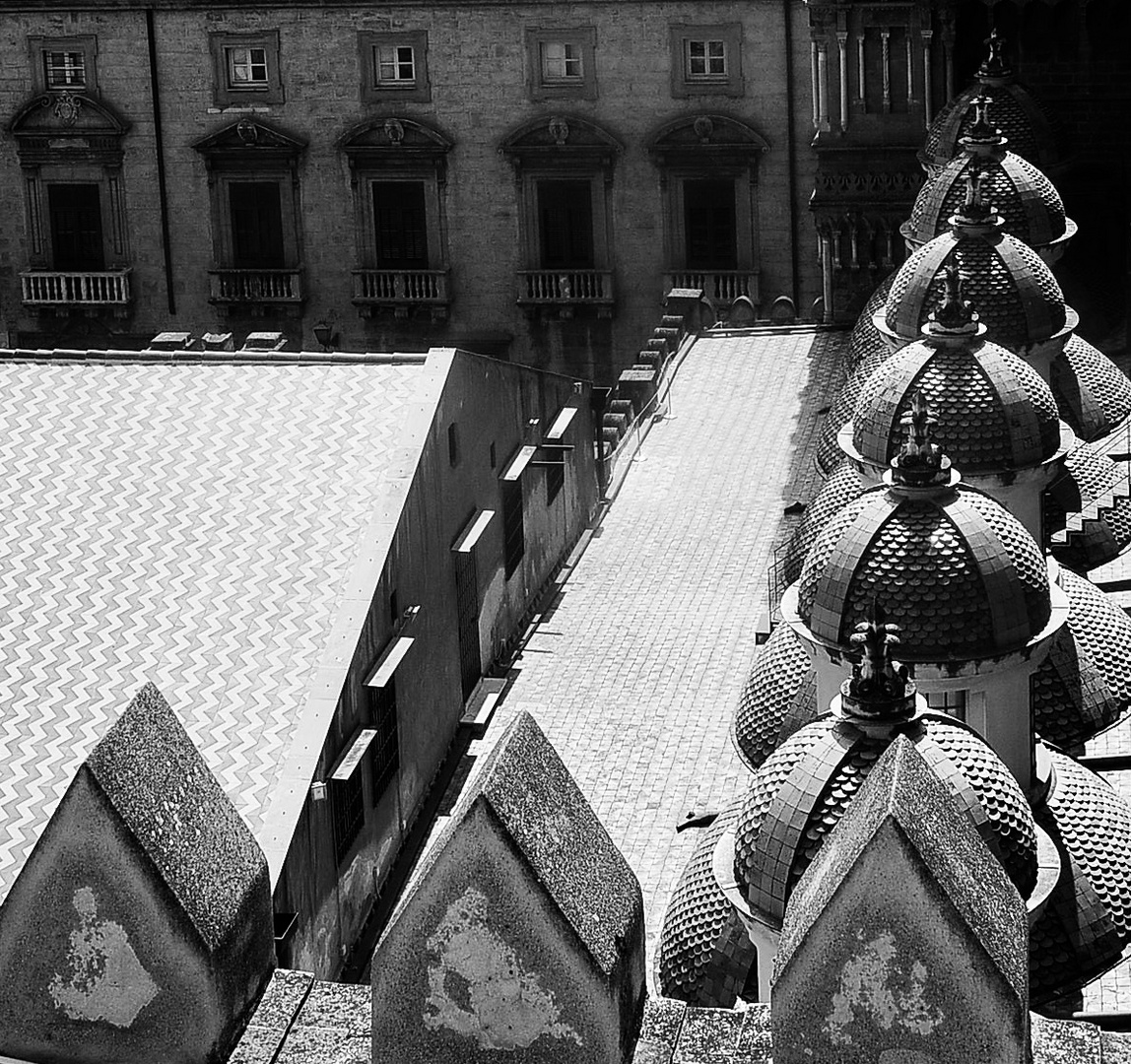 SUI TETTI DELLA CATTEDRALE di…PALERMO