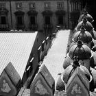 SUI TETTI DELLA CATTEDRALE di…PALERMO