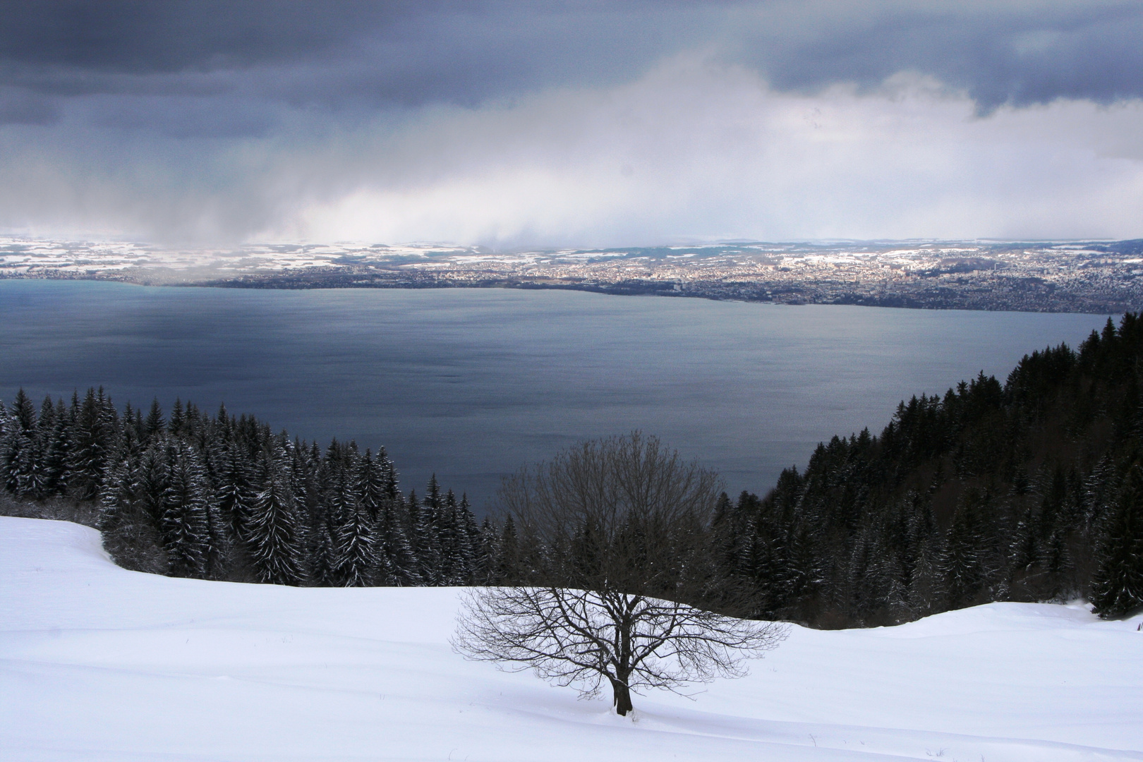 Suisse voisine