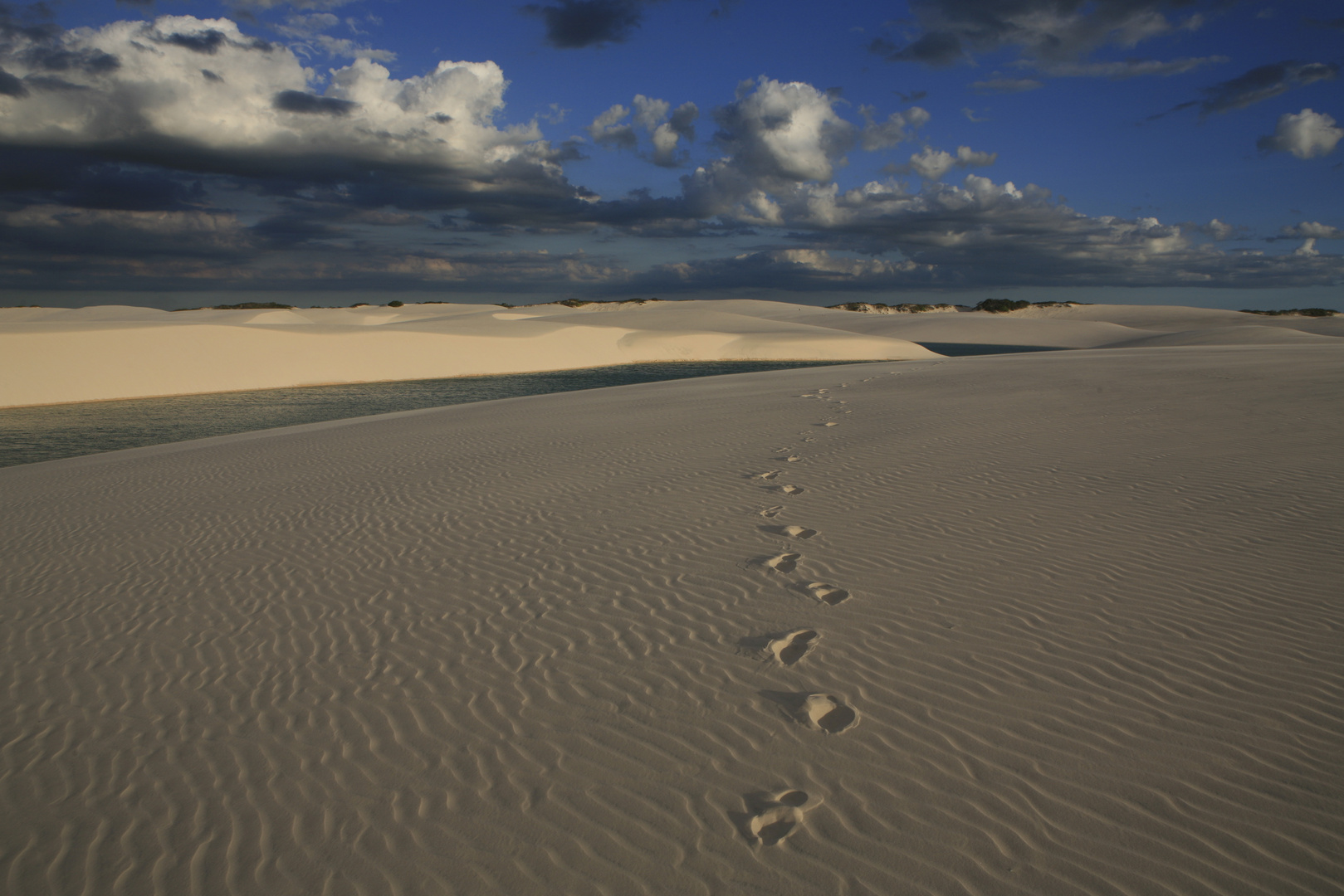 suite de la promenade dans les dunes...