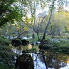 suite gorges de st Aubert