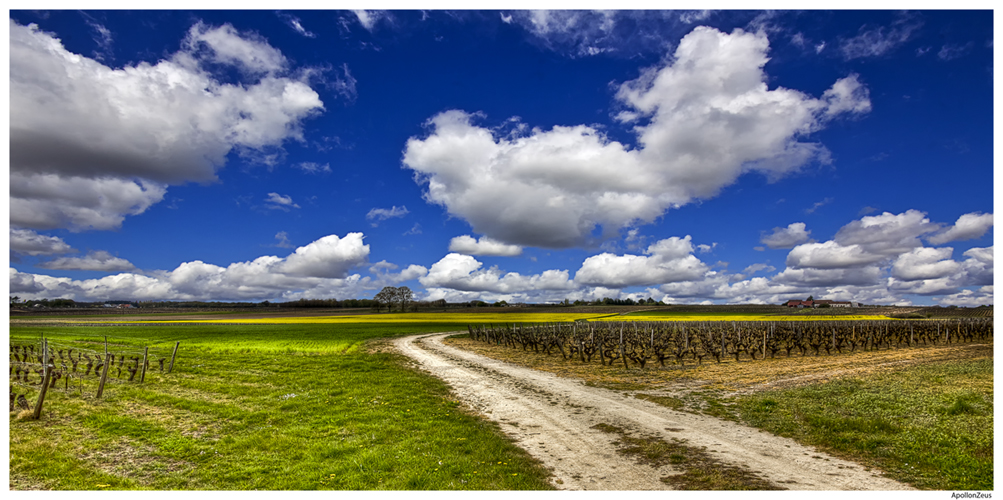 Suivez le chemin, il vous mènera à du très bon vin :-)