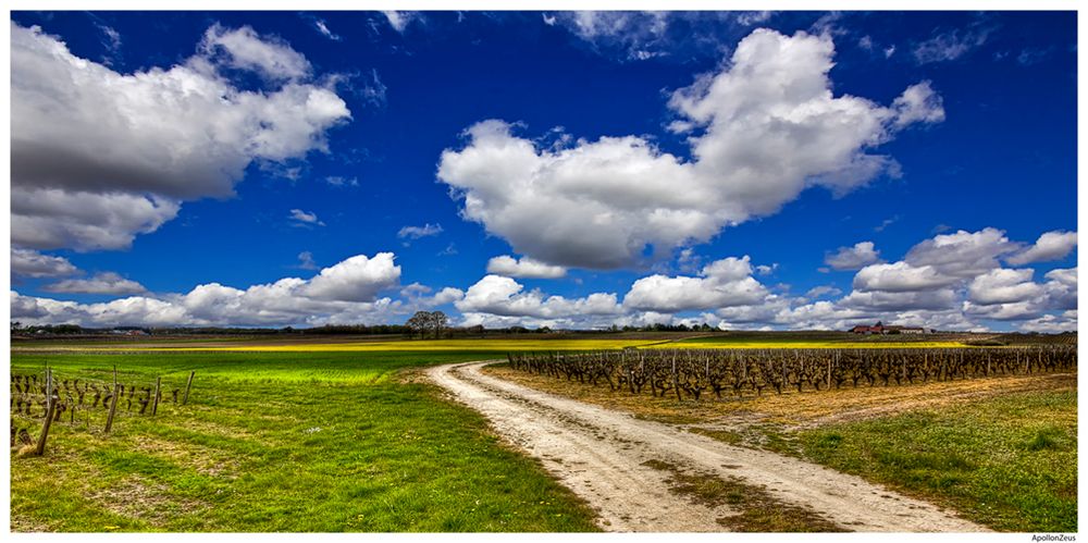 Suivez le chemin, il vous mènera à du très bon vin :-)