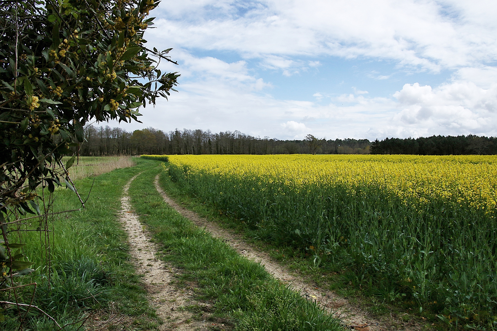 suivre le chemin