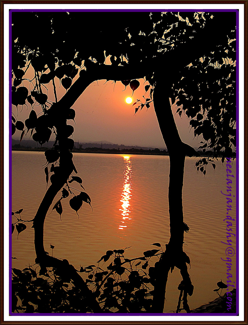 Sukhna Lake (Chandigarh)