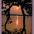 Sukhna Lake (Chandigarh)