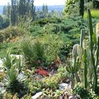 Sukkulentengarten auf der Mainau