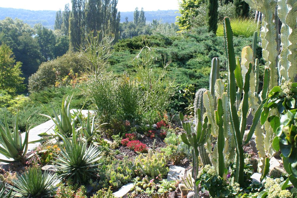 Sukkulentengarten auf der Mainau Foto &amp; Bild pflanzen