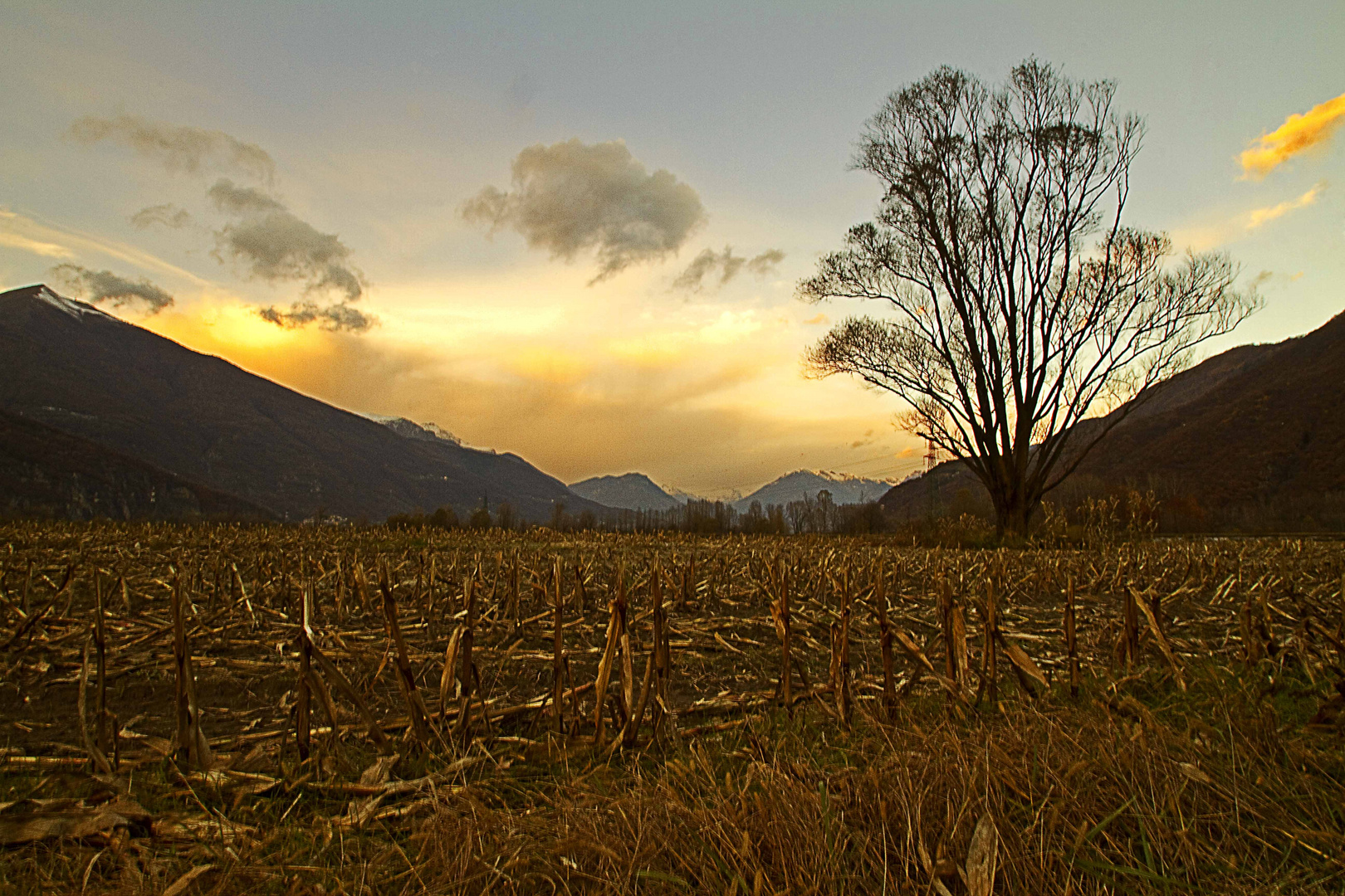 Sul far della sera