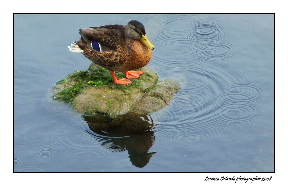 Sul fiume Corrib