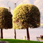 Sul lago di Como