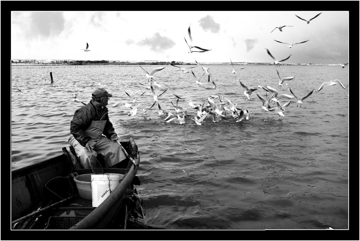 Sul Lago di Lesina 02