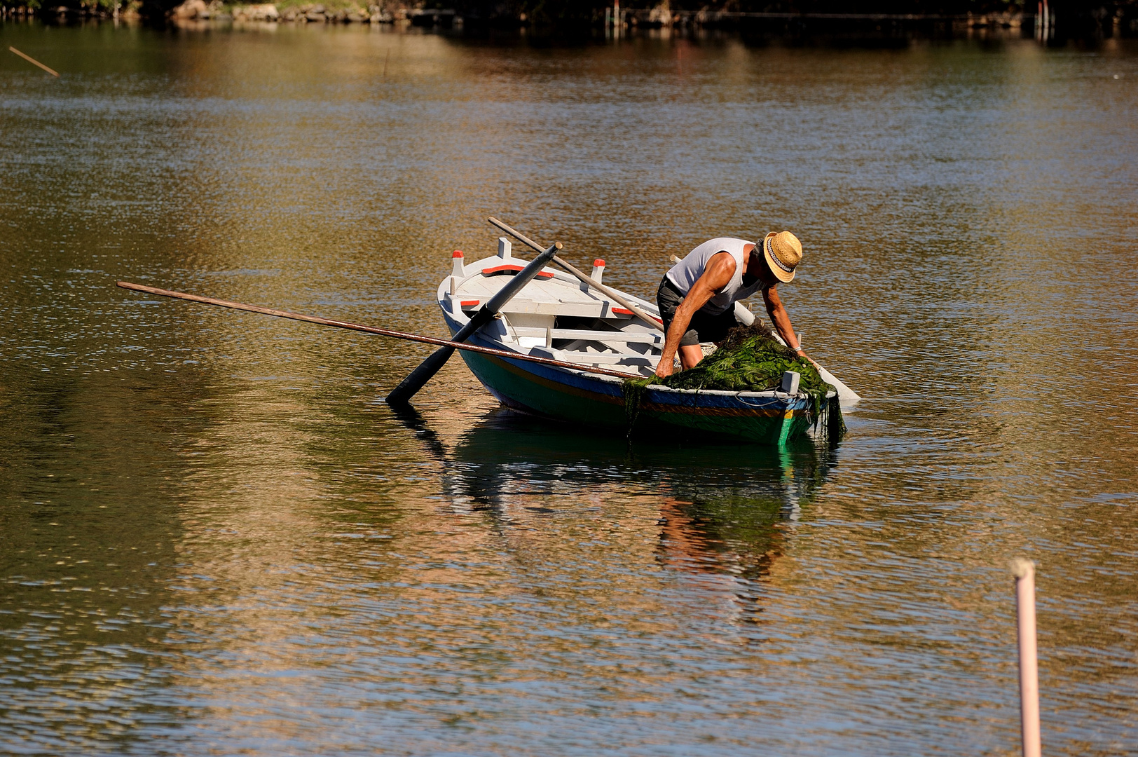 SUL LAGO DORATOI