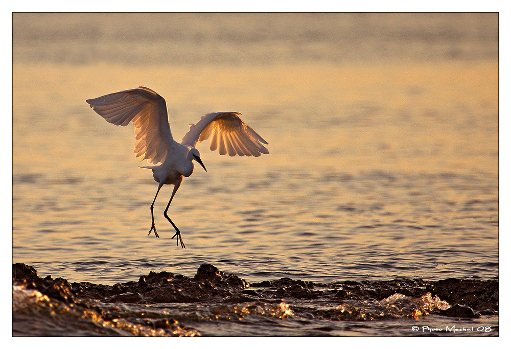 SUL MARE AL TRAMONTO