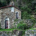 sul monte di portofino