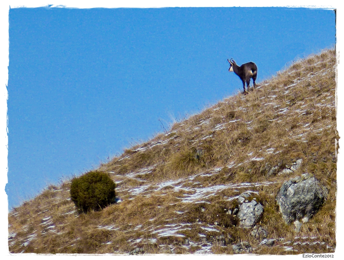 ... Sul Monte Grappa...