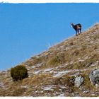 ... Sul Monte Grappa...