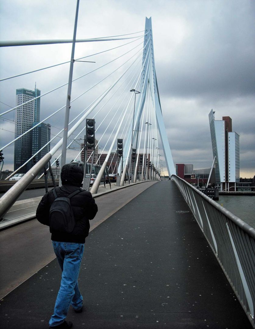 sul ponte di Rotterdam